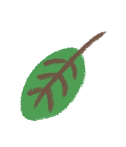 葉っぱ