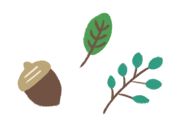 どんぐりと葉っぱ